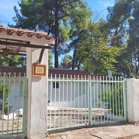 Villa Nefeli Παραλία Σάνη Εξωτερικό φωτογραφία