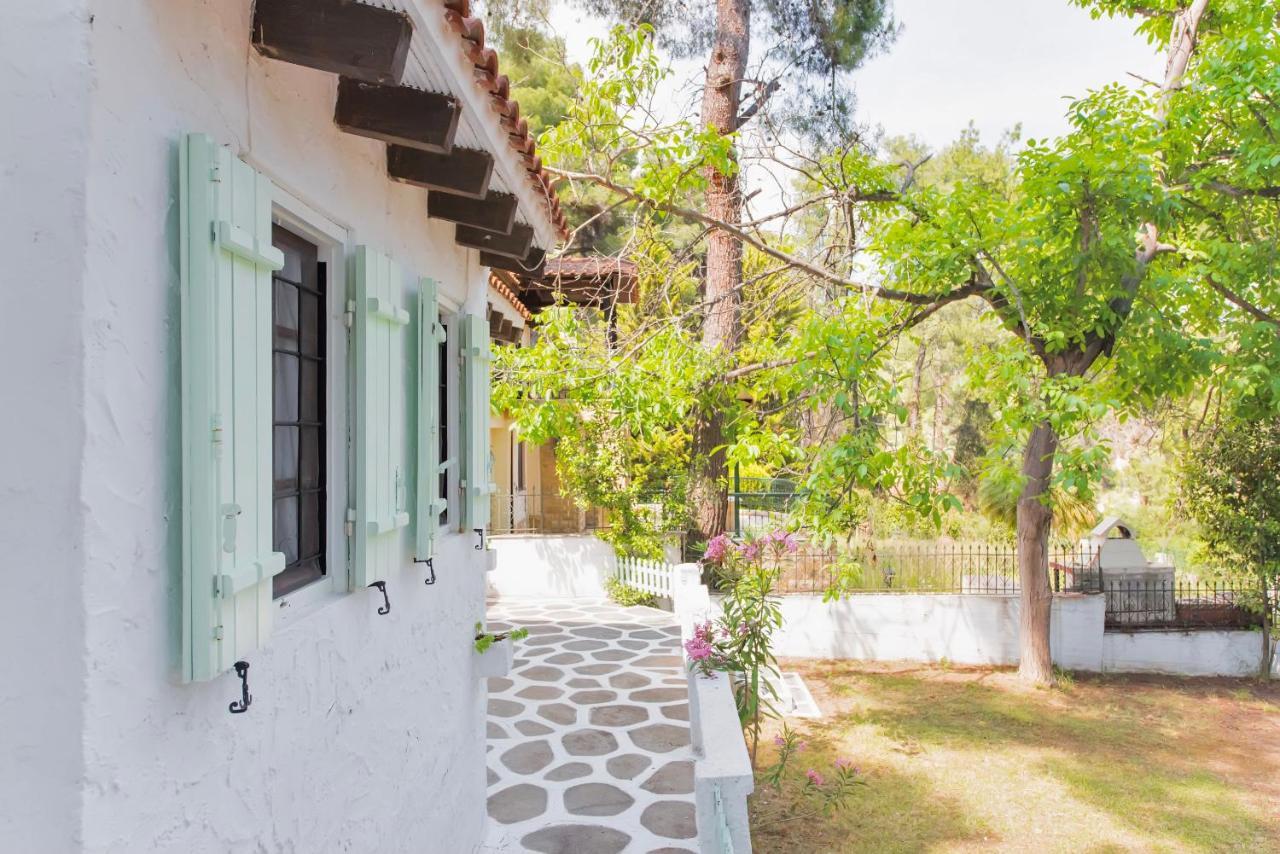 Villa Nefeli Παραλία Σάνη Εξωτερικό φωτογραφία