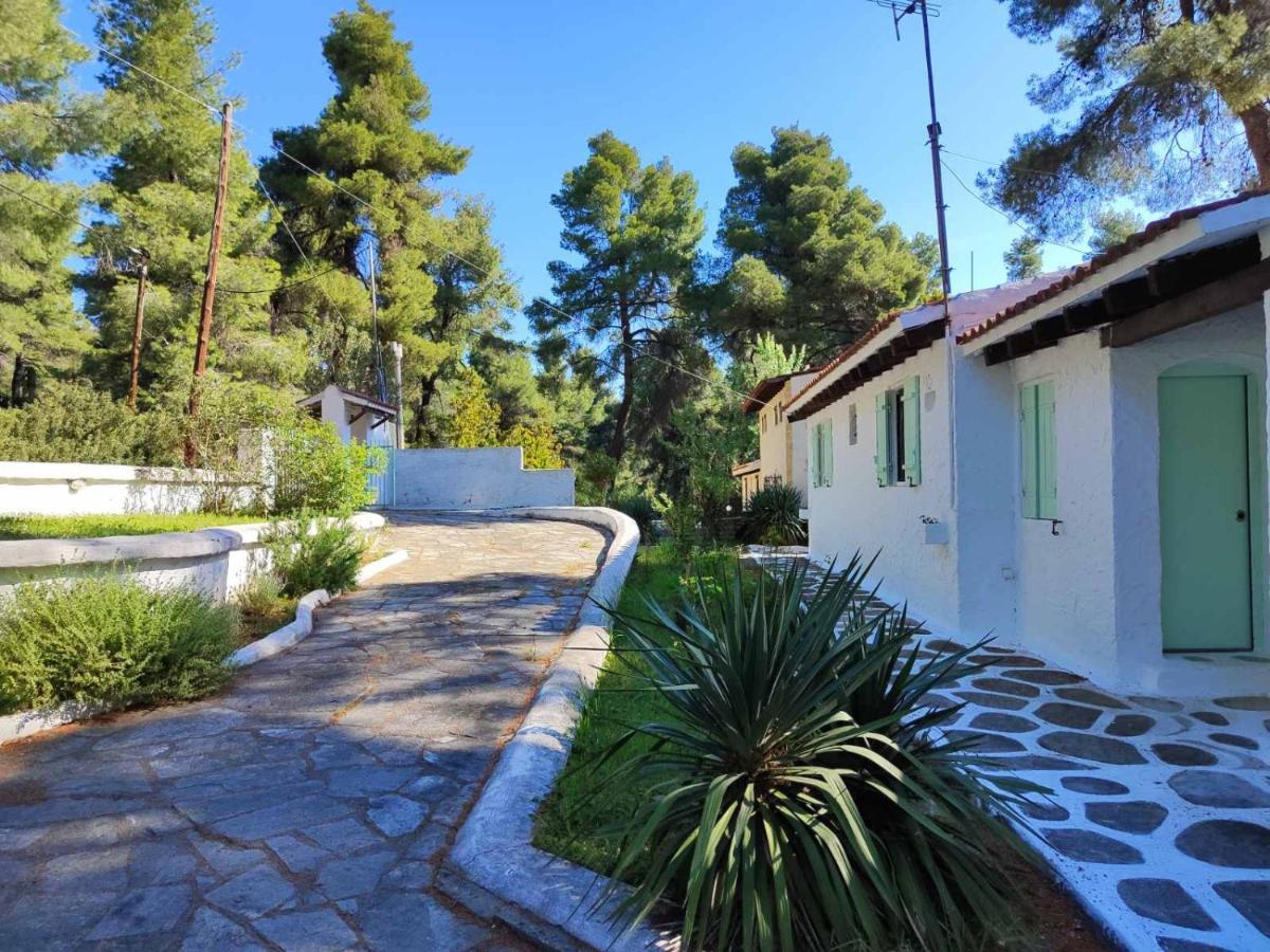 Villa Nefeli Παραλία Σάνη Εξωτερικό φωτογραφία
