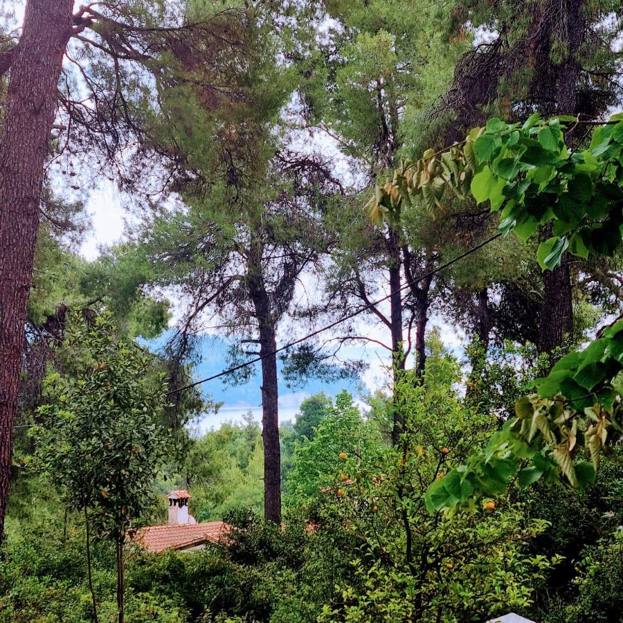 Villa Nefeli Παραλία Σάνη Εξωτερικό φωτογραφία