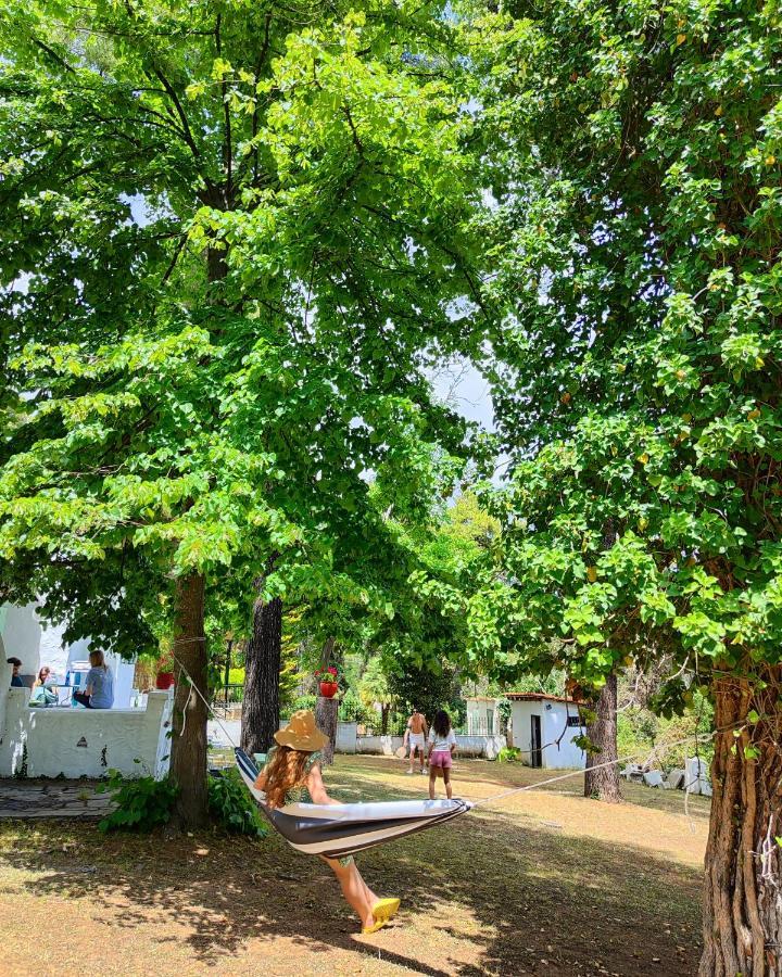 Villa Nefeli Παραλία Σάνη Εξωτερικό φωτογραφία
